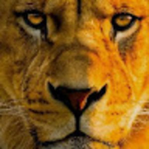 Meet your Posher, Josef